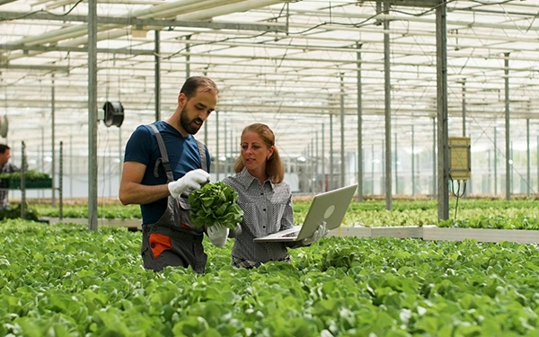 Food and Agriculture Solutions